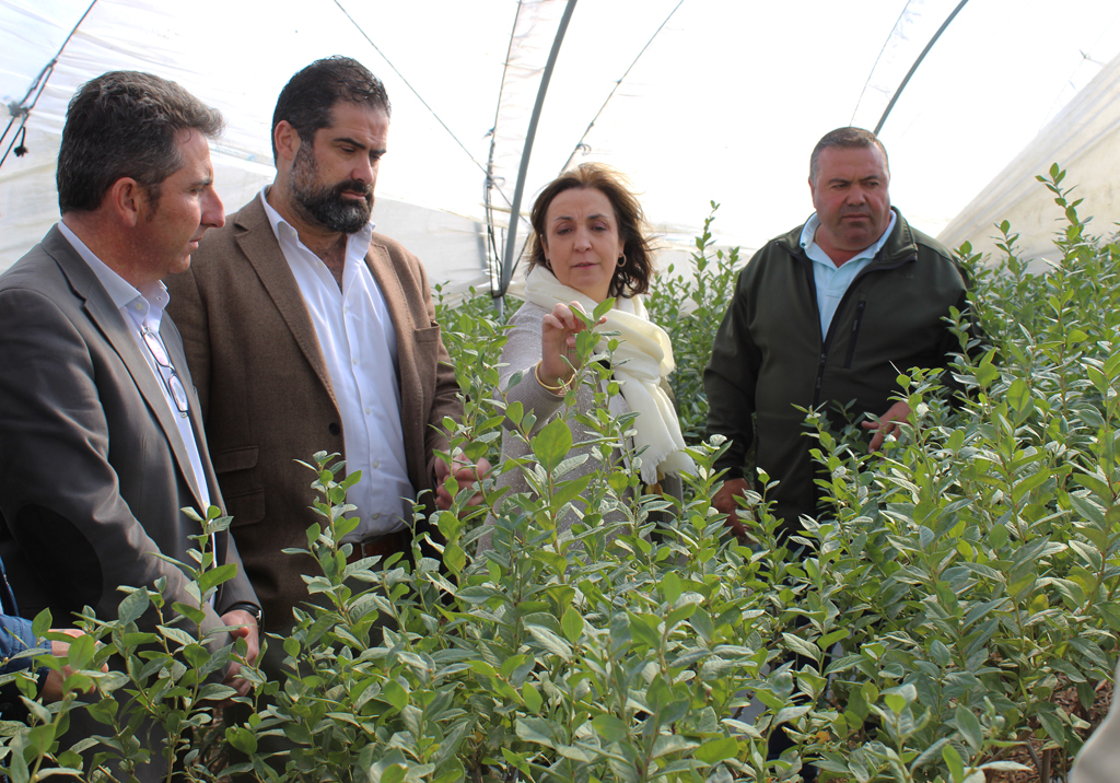 La Viceconsejera de Agricultura de la Junta visita explotaciones agrícolas de Cartaya.