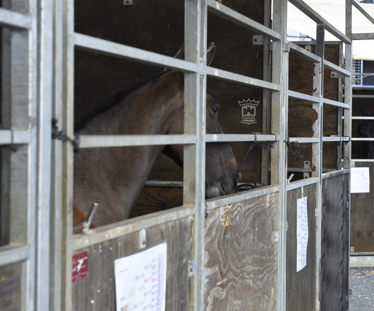 La Asociación Hípica Malpica, con la colaboración del Ayuntamiento, pone a disposición de los romeros boxes de alquiler para los caballos durante la Romería 
