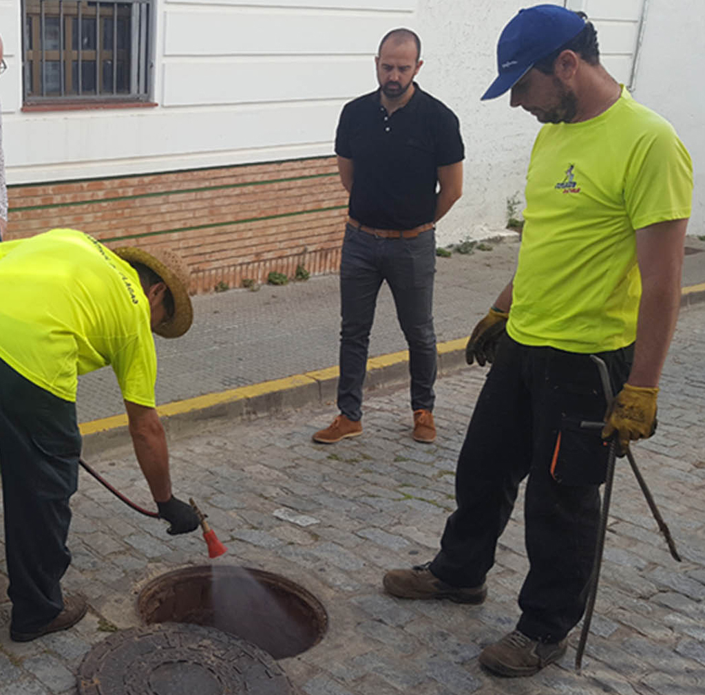 El Ayuntamiento de Cartaya solicita a la ciudadanía que tapone los desagües, y cierre puertas y ventanas ante la campaña contra las cucarachas que se pone en marcha el miércoles.