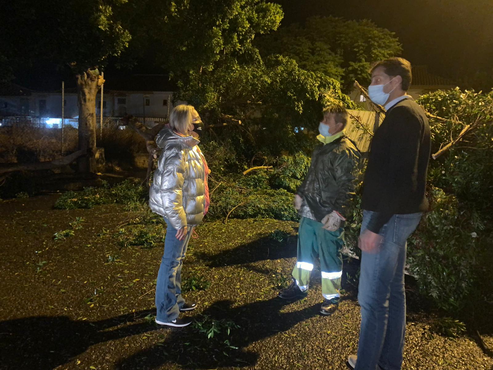 El Ayuntamiento de Cartaya trabaja a esta hora reparando los daños ocasionados por el temporal de lluvia y viento en la localidad.