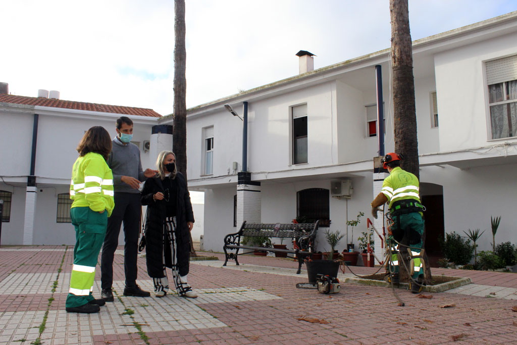 El Ayuntamiento realiza la poda de las palmeras y arbolado en Cartaya, El Rompido y Nuevo Portil.