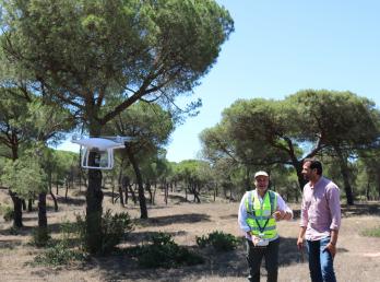 Cartaya activa y adelanta la vigilancia con drones del pinar para prevenir los incendios forestales 
